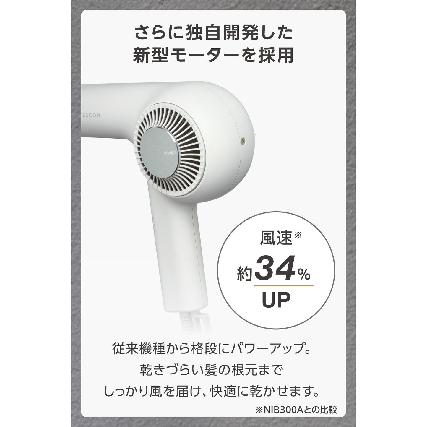 プロフェッショナル プロテクトイオン ヘアードライヤー/ NIB400A