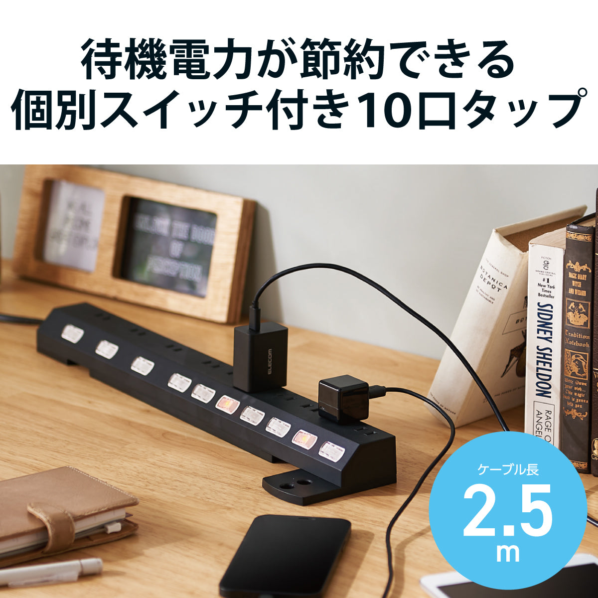 エレコム 雷ガードタップ 個別スイッチ ホコリ防止シャッター付き 回転脚付き 固定&吊下可能 10口 2.5m