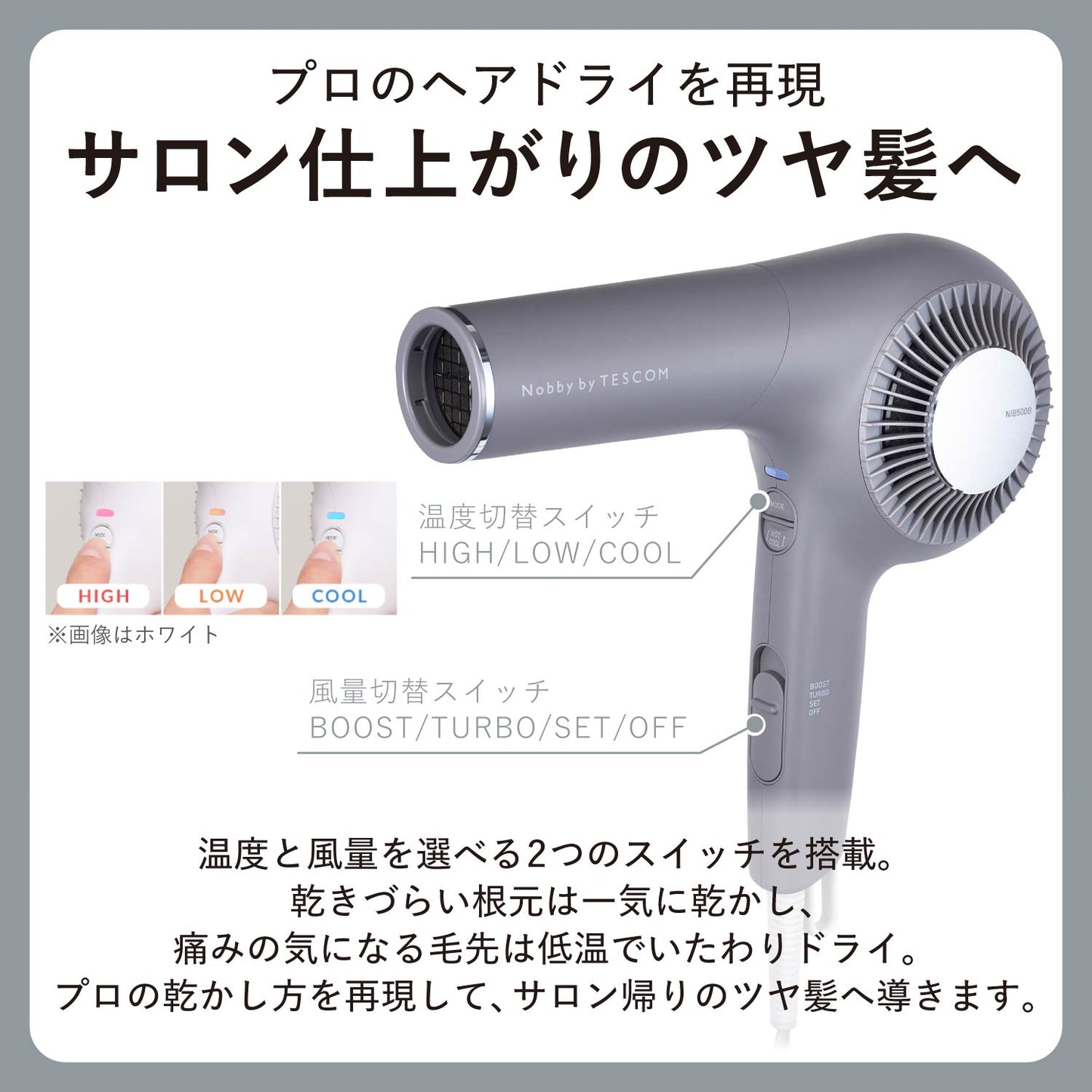 プロフェッショナル プロテクトイオン ヘアドライヤー/ NIB500B