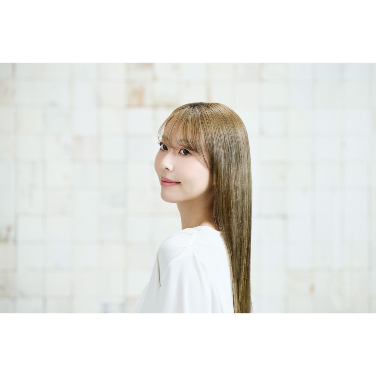 プロテクトイオン ヘアドライヤー/ TD462A