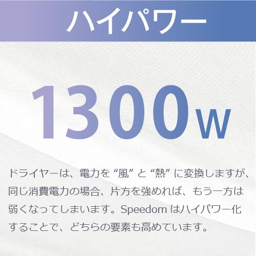 プロテクトイオン ヘアードライヤー/ TID2400B