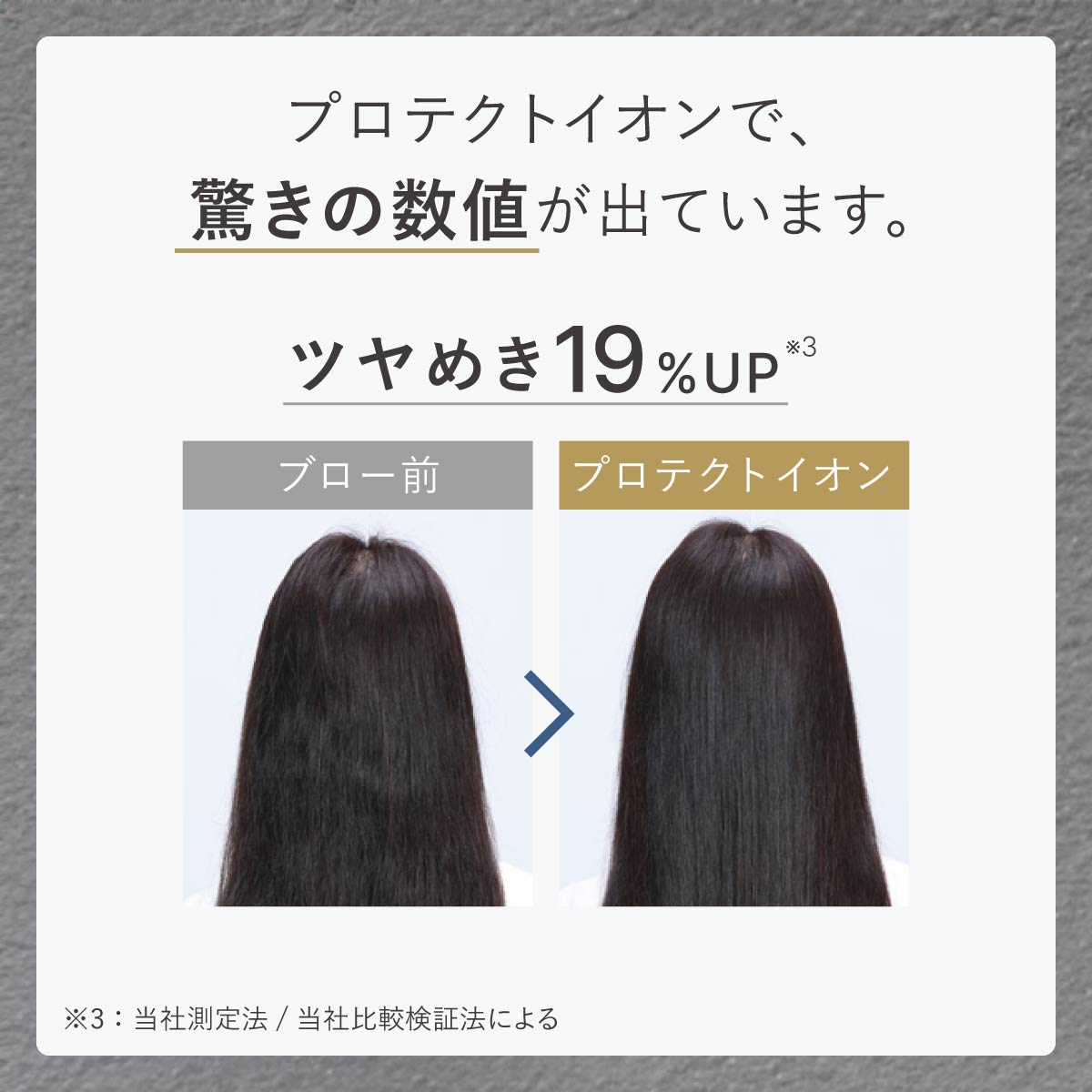 【特別価格】プロフェッショナル プロテクトイオン ヘアードライヤー/ NIB400A