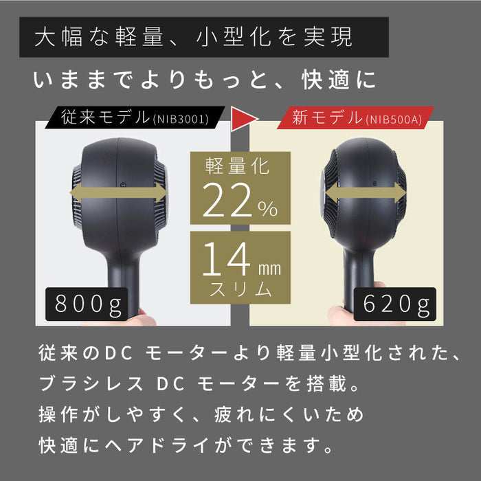 プロフェッショナル プロテクトイオン ヘアードライヤー/ NIB500A